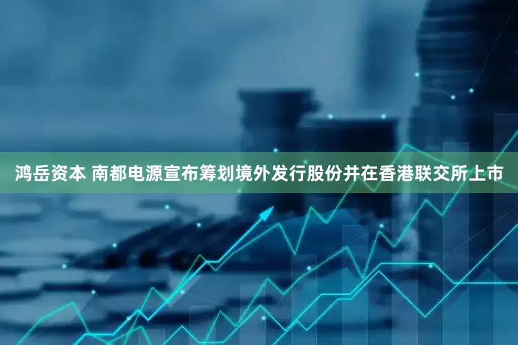 鸿岳资本 南都电源宣布筹划境外发行股份并在香港联交所上市
