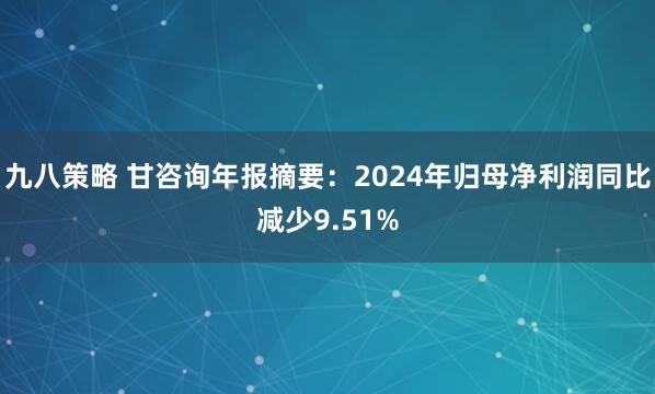 九八策略 甘咨询年报摘要：2024年归母净利润同比减少9.51%
