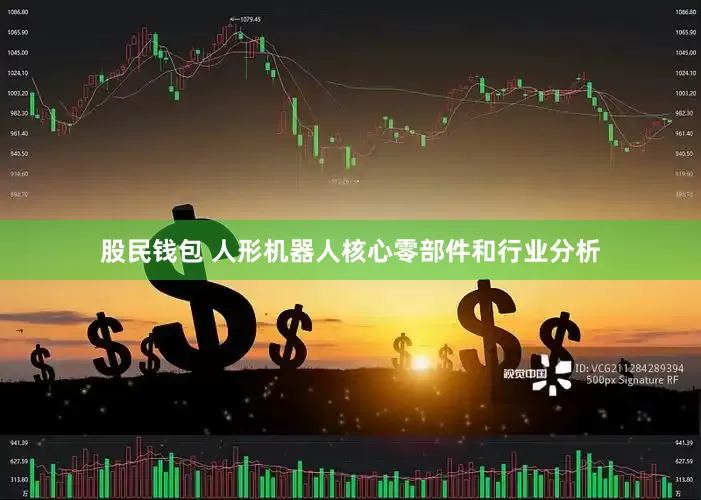 股民钱包 人形机器人核心零部件和行业分析