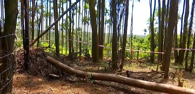 海南村民开荒发现山东烈士“于成久”的墓碑 目前两地正在积极对接 英雄魂归故里