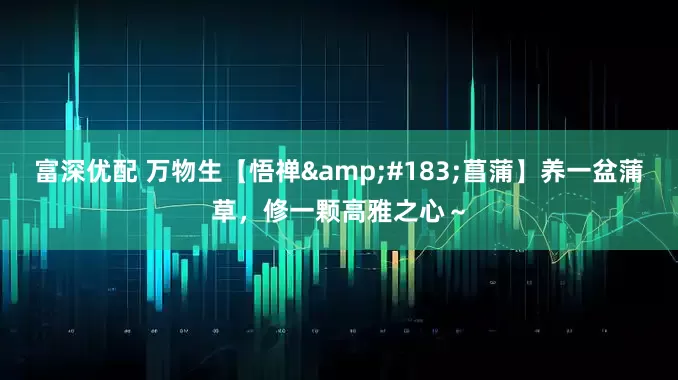 富深优配 万物生【悟禅&#183;菖蒲】养一盆蒲草，修一颗高雅之心～